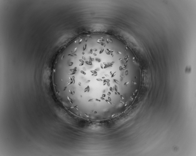X0000102860550200808251228