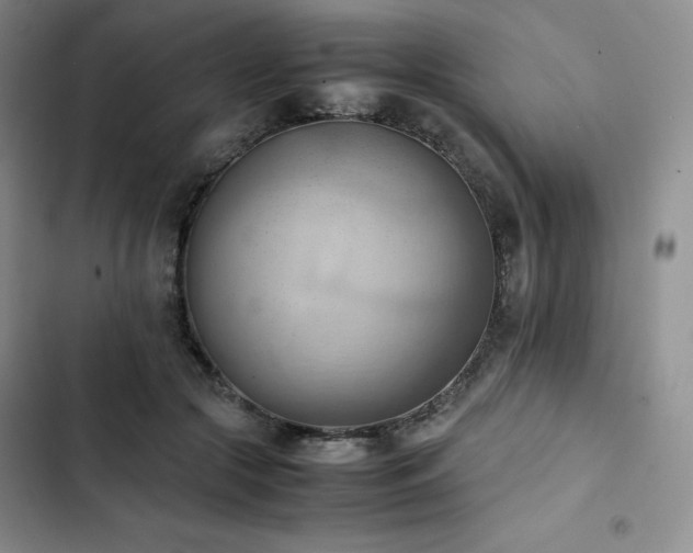 X0000102860553200808251228