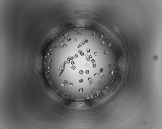 X0000102860554200808251228