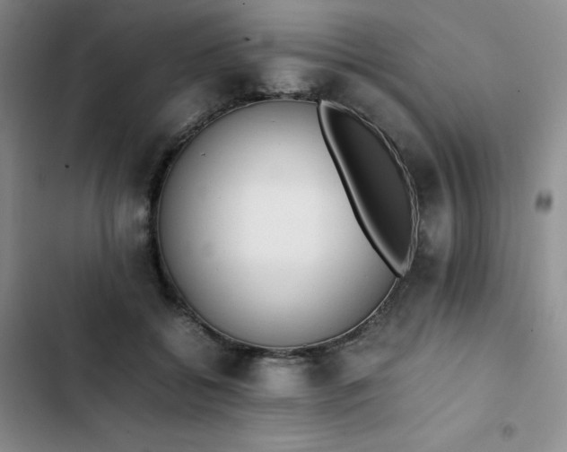 X0000102860556200808251229