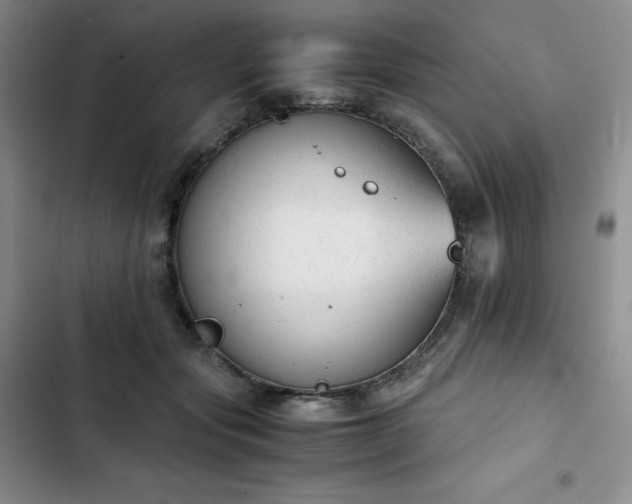 X0000102860557200808251229