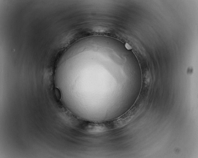 X0000102860559200808251229