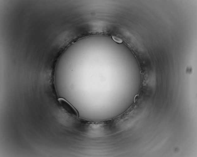 X0000102860560200808251229