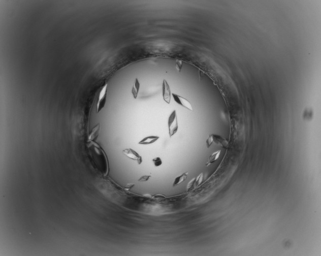 X0000102860561200808251229