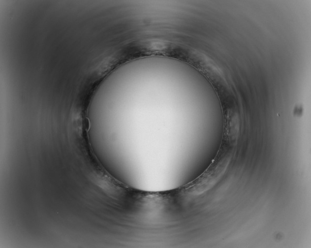 X0000102860562200808251229