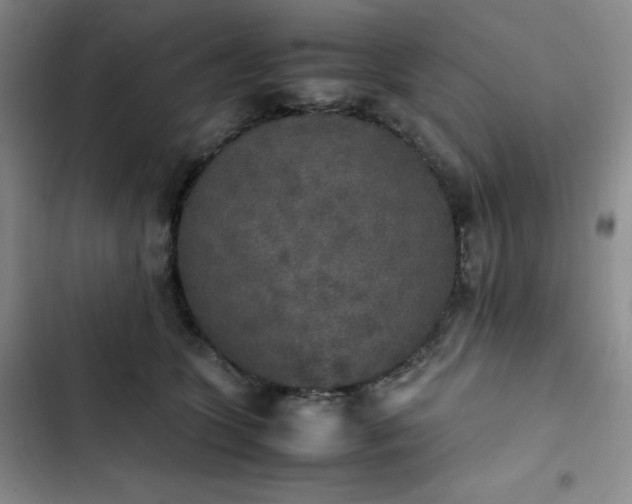 X0000102860563200808251229