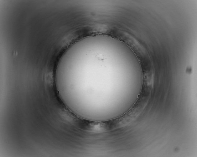 X0000102860564200808251229