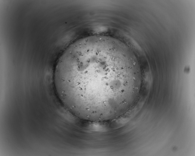 X0000102860565200808251229