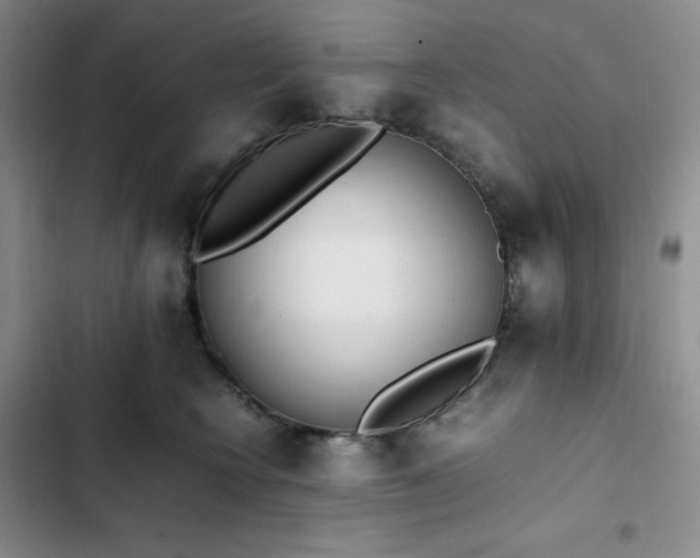 X0000102860566200808251229