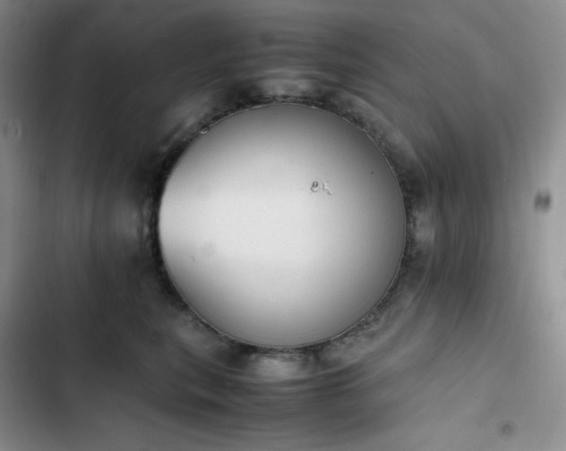 X0000102860567200808251229