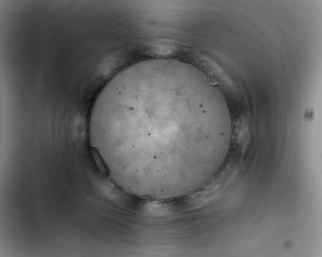 X0000102860568200808251229