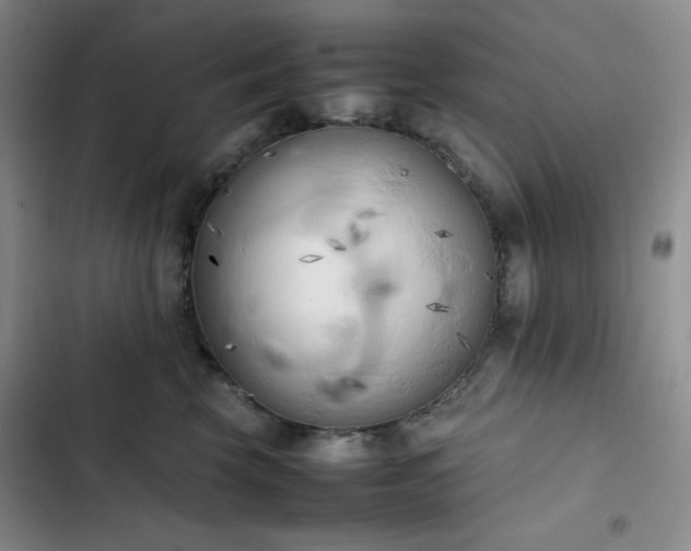 X0000102860569200808251229