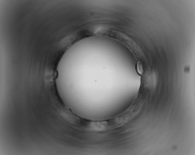 X0000102860571200808251229