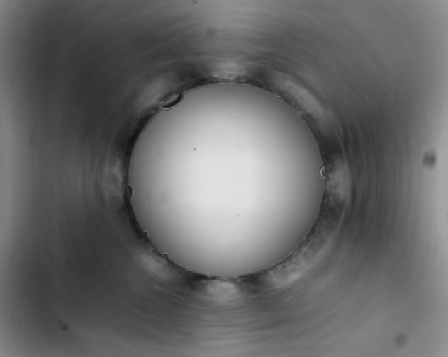 X0000102860572200808251229