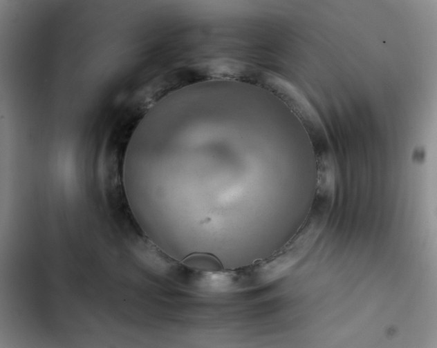 X0000102860573200808251229