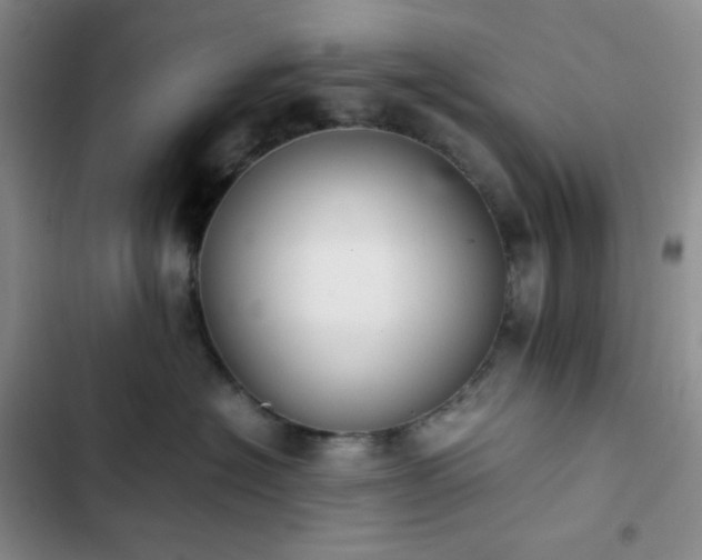 X0000102860574200808251229