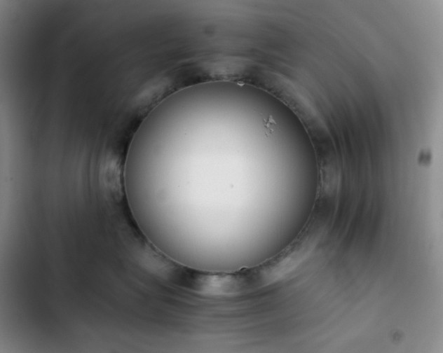 X0000102860575200808251229