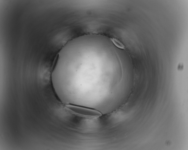 X0000102860576200808251229