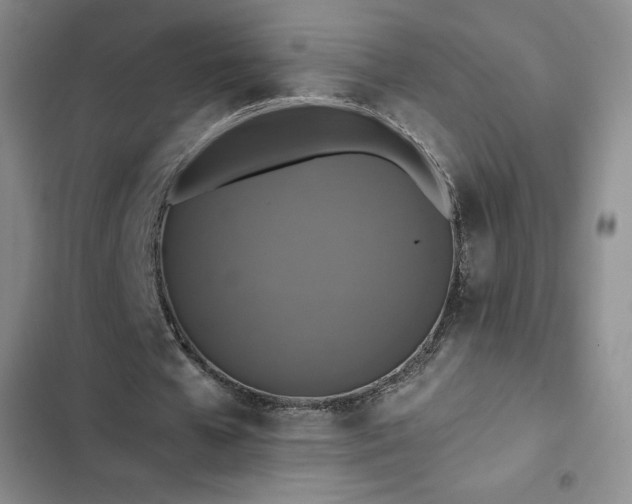 X0000102860577200808251228