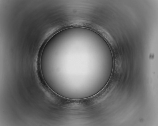 X0000102860578200808251228