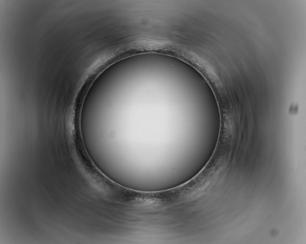 X0000102860582200808251228