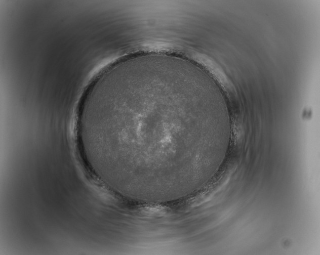 X0000102860583200808251228