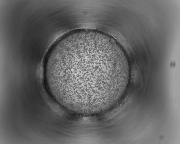 X0000102860584200808251228