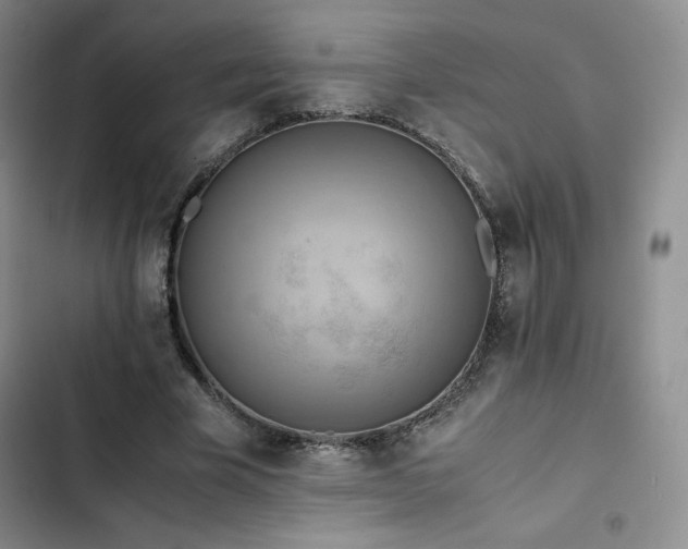 X0000102860585200808251228