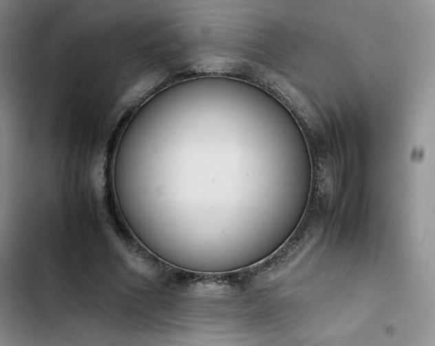 X0000102860586200808251228