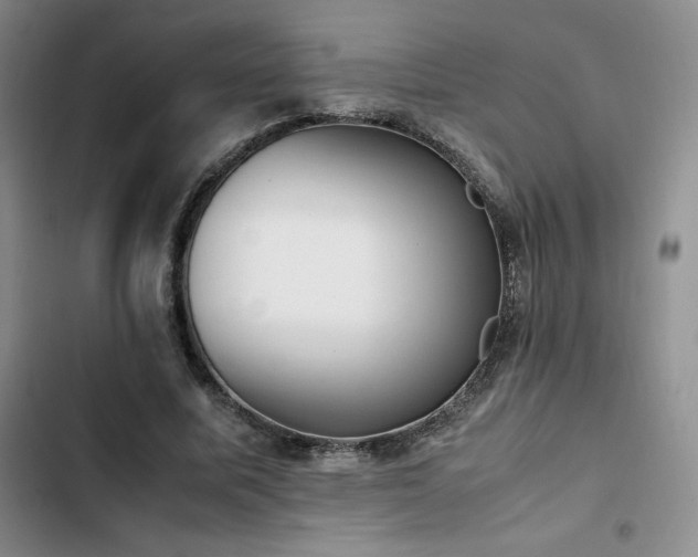 X0000102860587200808251228