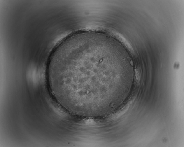 X0000102860588200808251228