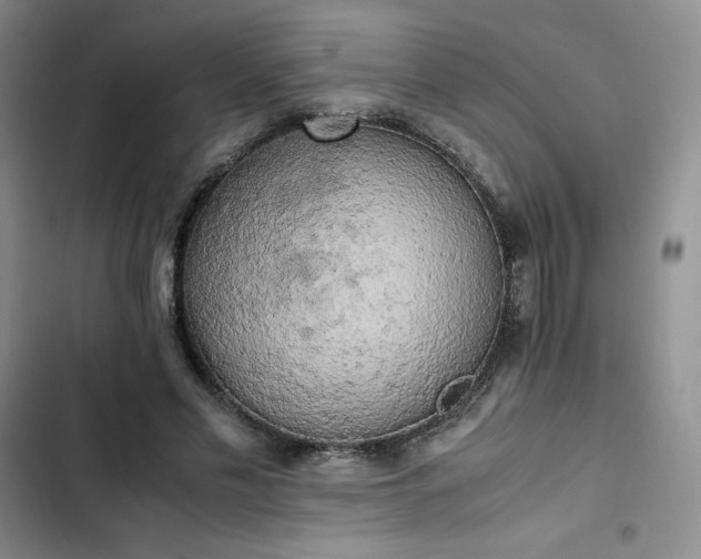 X0000102860589200808251228