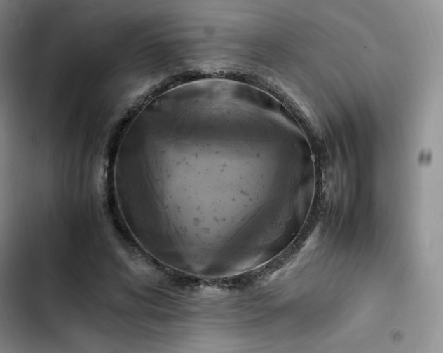 X0000102860592200808251228