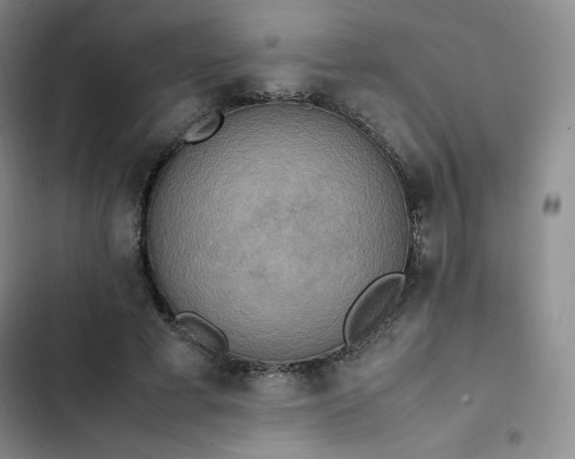 X0000102860593200808251228