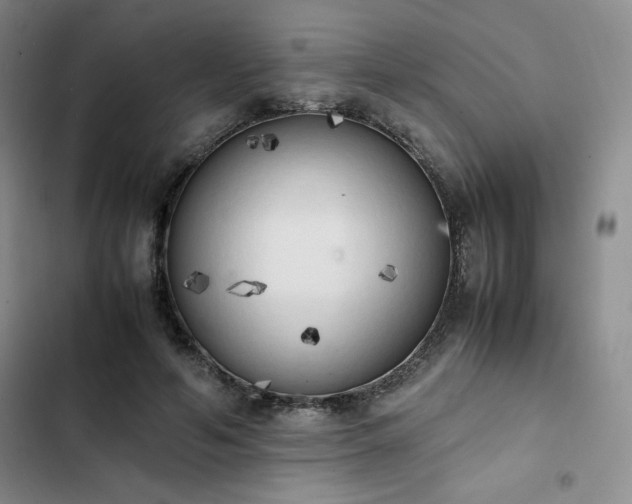X0000102860594200808251228
