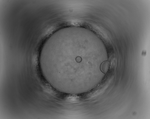 X0000102860595200808251228