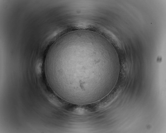 X0000102860596200808251228