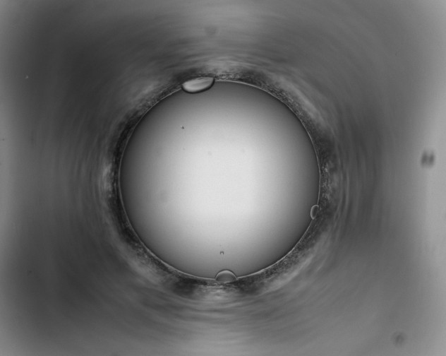 X0000102860597200808251228