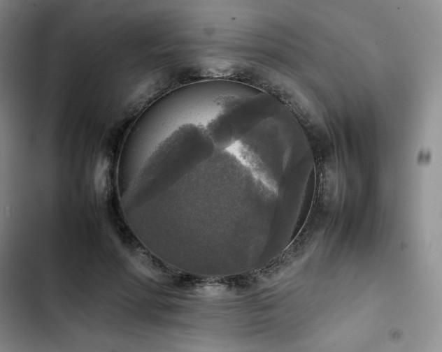 X0000102860598200808251228