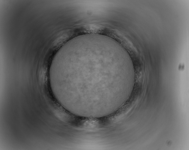 X0000102860599200808251228