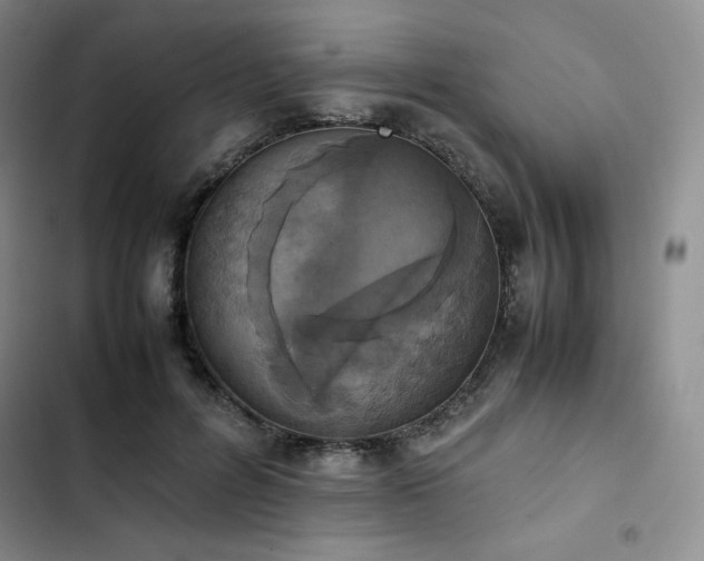 X0000102860600200808251228