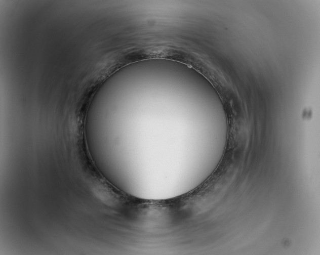 X0000102860601200808251228