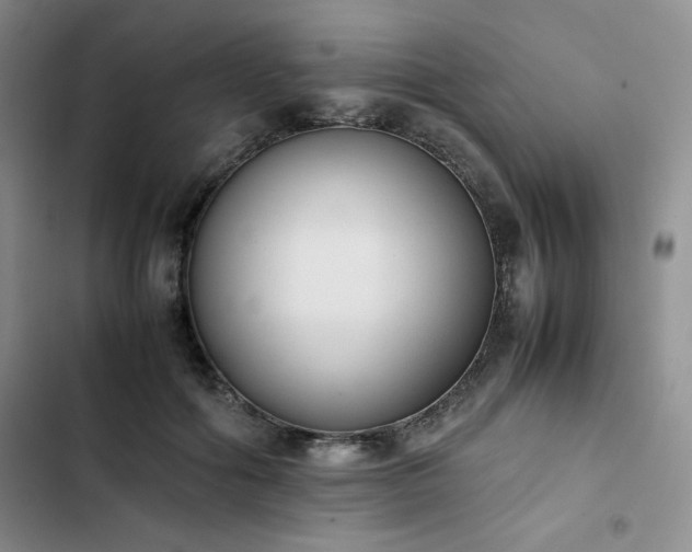 X0000102860602200808251228