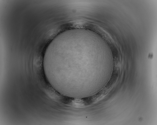 X0000102860603200808251228