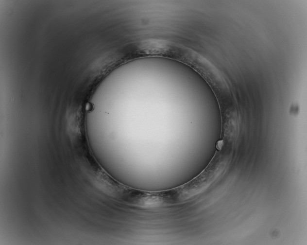 X0000102860604200808251228