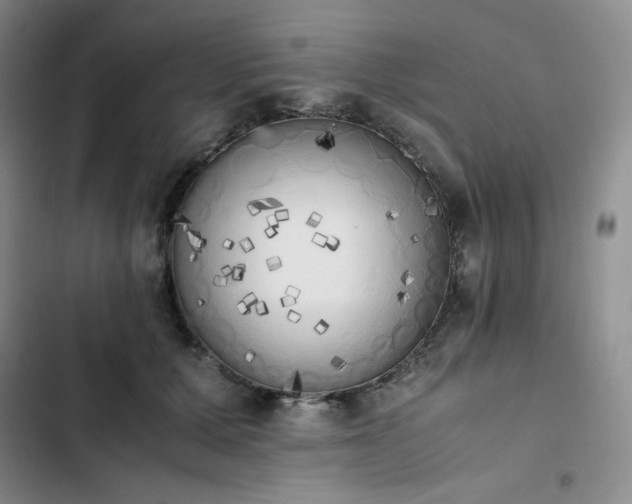 X0000102860607200808251228