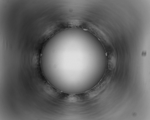 X0000102860608200808251228