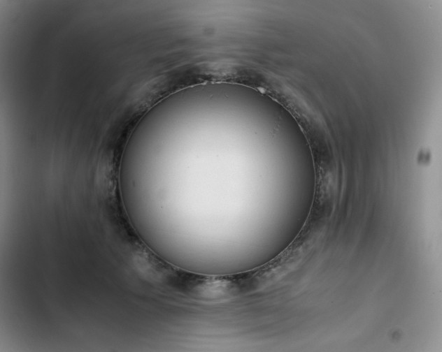 X0000102860609200808251228