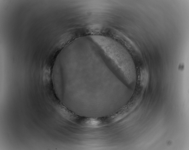 X0000102860610200808251228