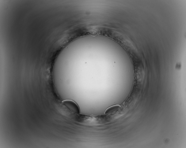 X0000102860611200808251228